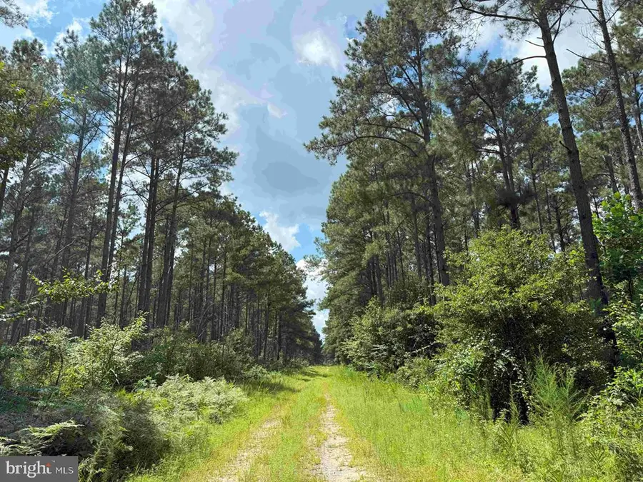 N Liberty Spring Rd (tract: Ches. Block 4-61-119), Suffolk, VA 23432 - Image #2