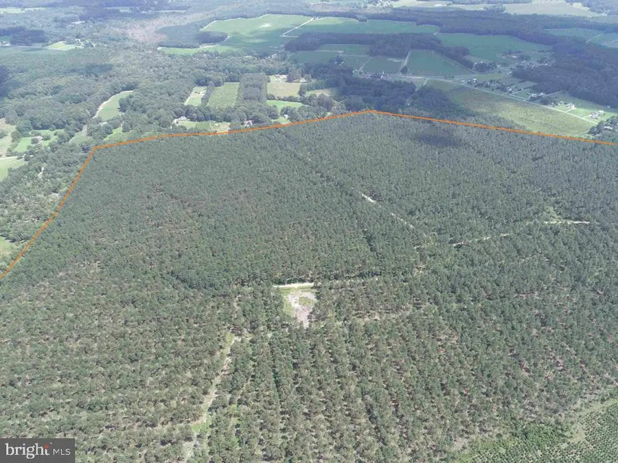 N Liberty Spring Rd (tract: Ches. Block 4-61-119), Suffolk, VA 23432 - Image #3