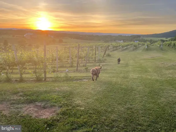 2110 Quicksburg Rd, QUICKSBURG, VA 22847