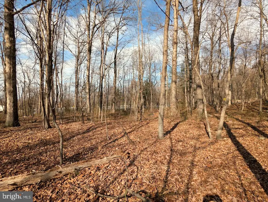 0 E Lee Hwy, New Market, VA 22844 - Image #2