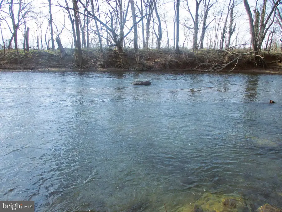 143 Montvue Ave, Mount Jackson, VA 22842 - Image #2