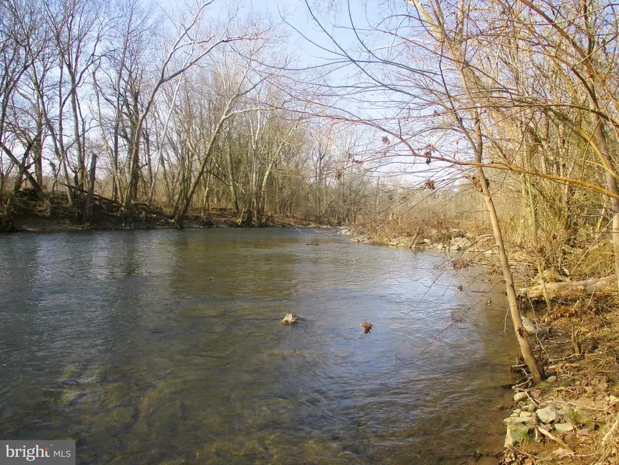 143 Montvue Ave, Mount Jackson, VA 22842 - Image #3