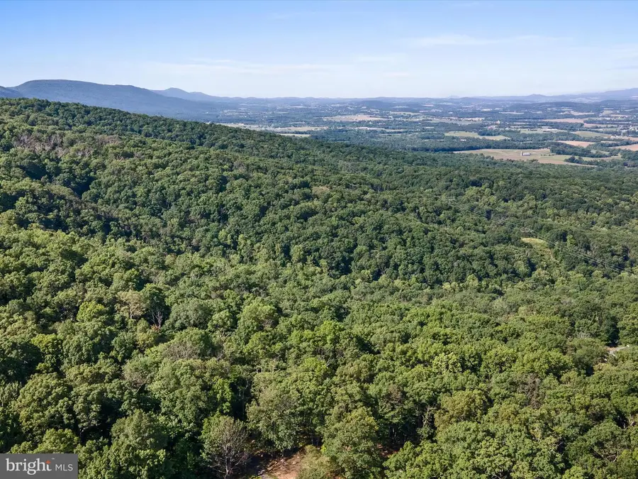 Mountain Laurel Dr, Mount Jackson, VA 22842 - Image #2