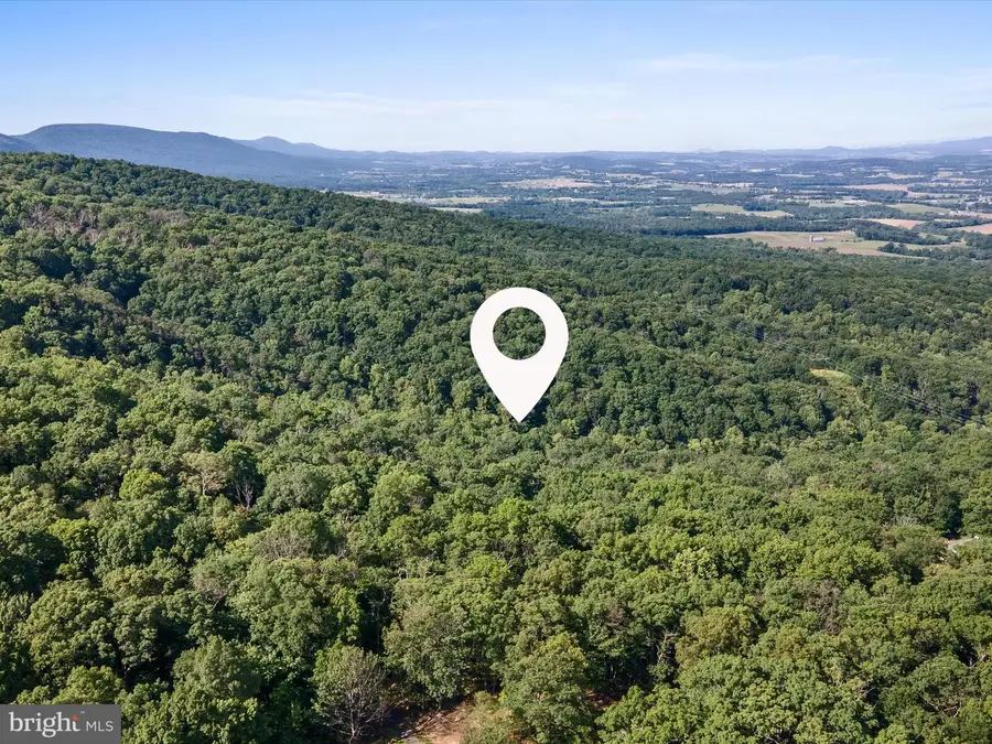 Mountain Laurel Dr, Mount Jackson, VA 22842 - Image #3