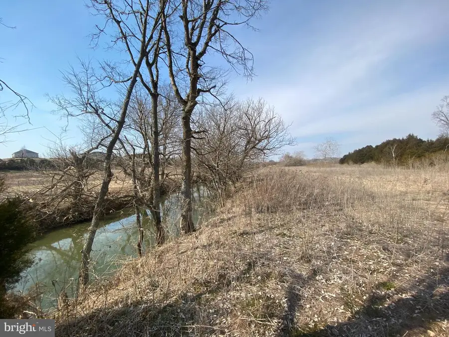 70 Ac Smith Creek Rd, New Market, VA 22844 - Image #2