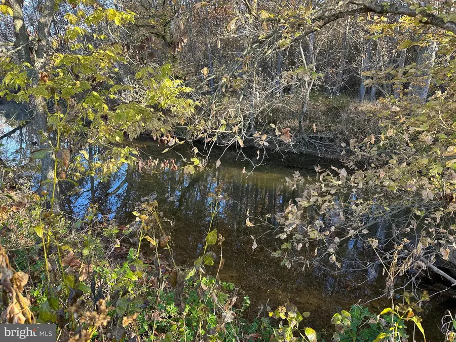 70 Ac Smith Creek Rd, New Market, VA 22844 - Image #3