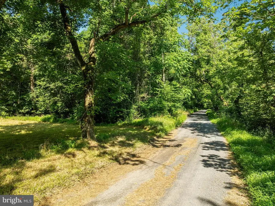 1214 Ridgeley Rd, Woodstock, VA 22664 - Image #3