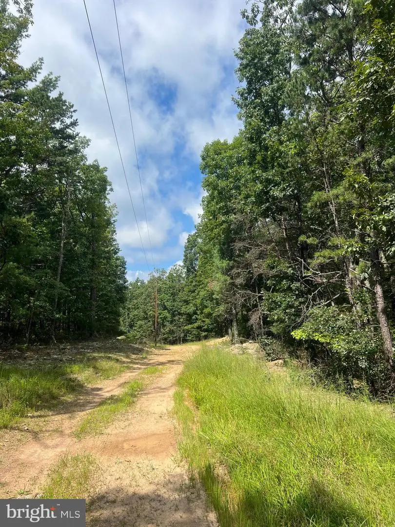 Supinlick Ridge Rd, Mount Jackson, VA 22842 - Image #2