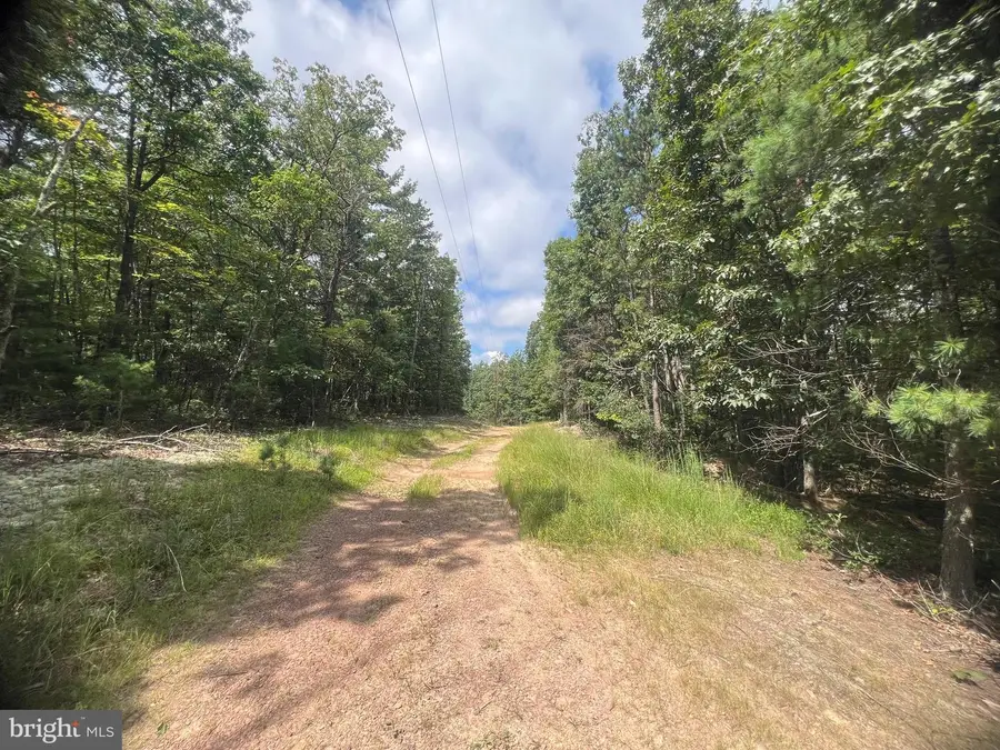 Supinlick Ridge Rd, Mount Jackson, VA 22842 - Image #3