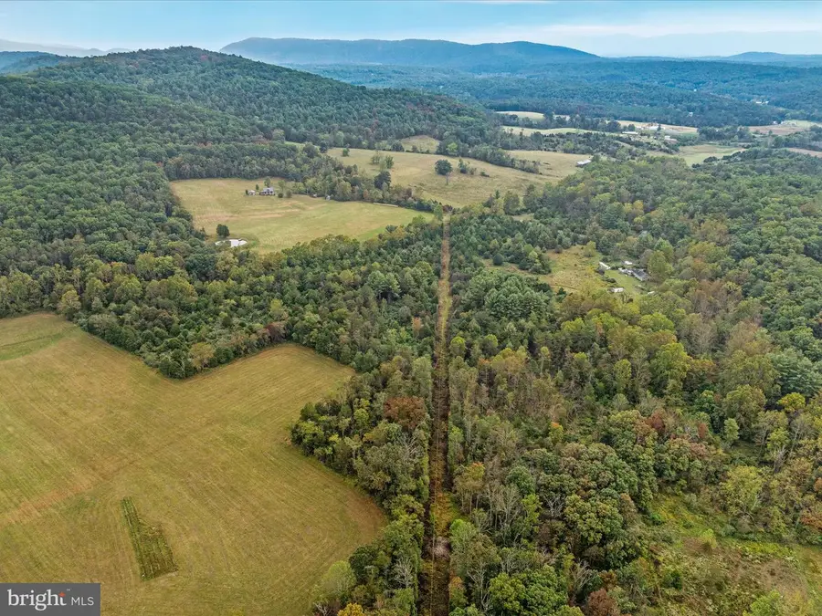 0 Dellinger Gap Rd, Edinburg, VA 22824 - Image #2