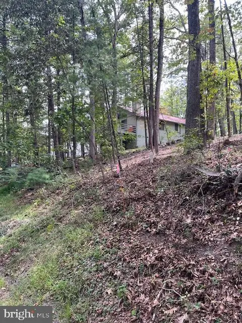 213 Morrie Dr, Basye, VA 22810 - Image #2