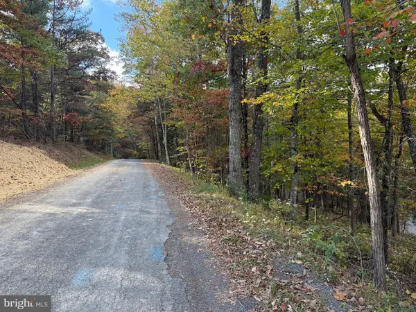 Susan Rd, MT JACKSON, VA 22842