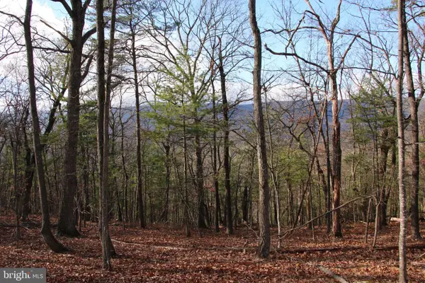 Supinlick Ridge Rd, MOUNT JACKSON, VA 22842