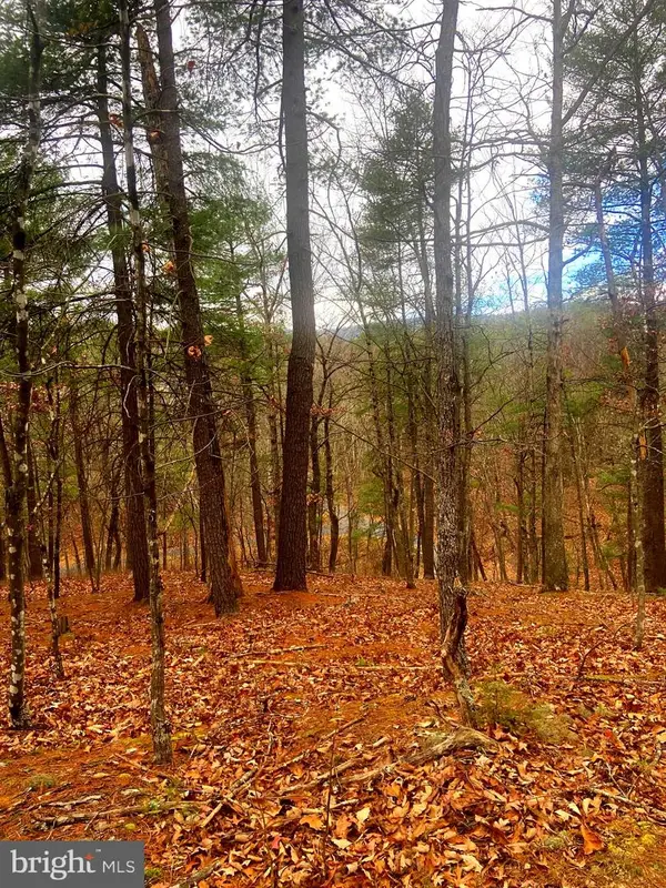 King St., BASYE, VA 22810