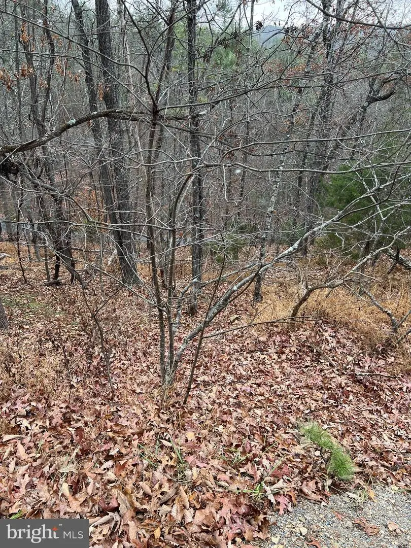 0 Hampton St, Basye, VA 22810 - Image #3