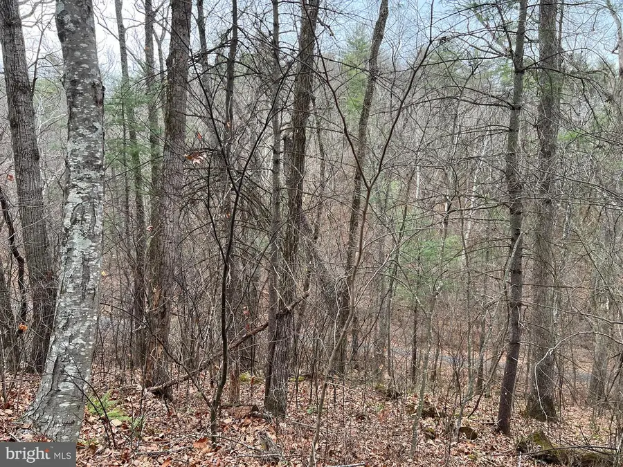 0 Crab Apple, Mount Jackson, VA 22842 - Image #3