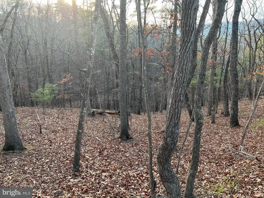 0 Straton, Basye, VA 22810 - Image #2