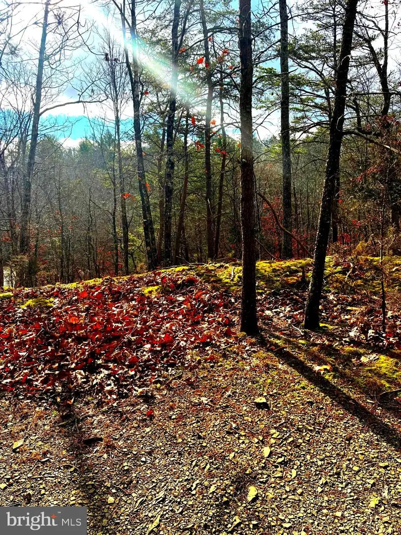 King St, Basye, VA 22810 - #1