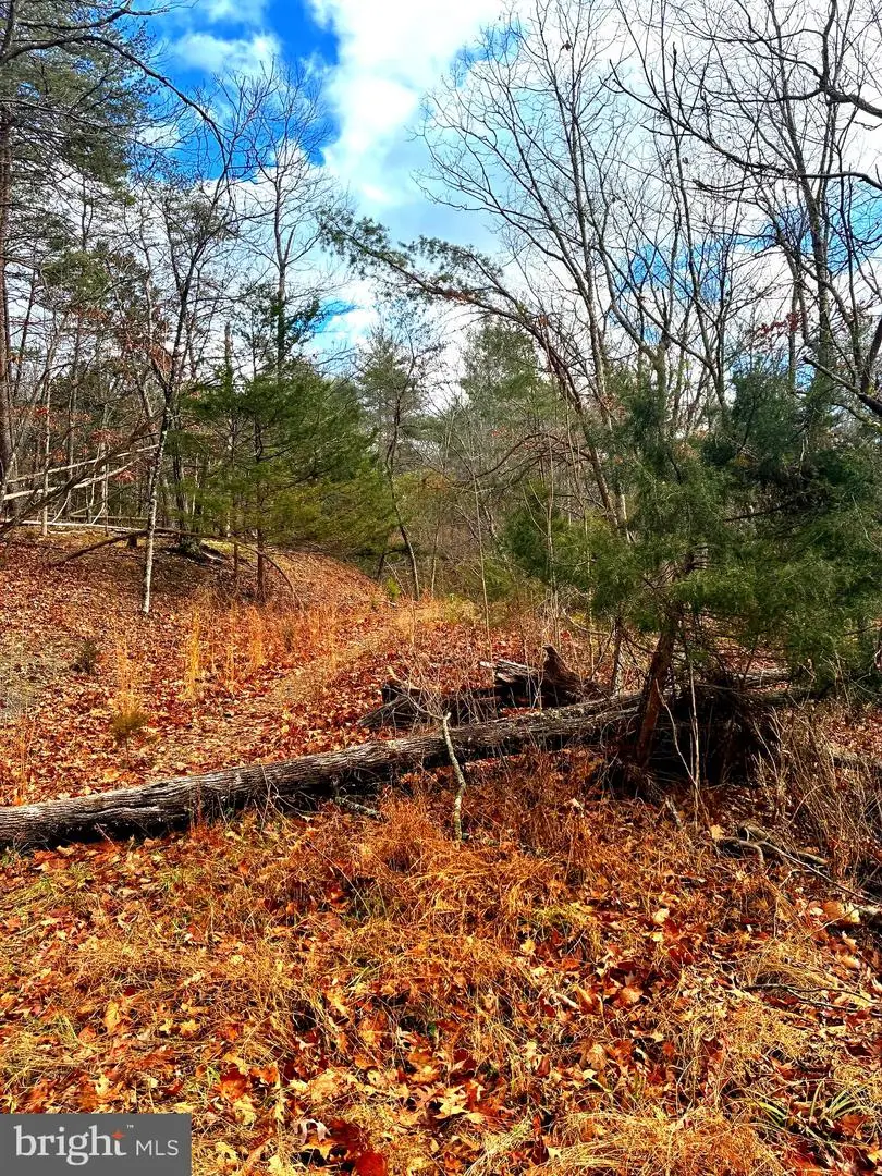 King St, Basye, VA 22810 - #2