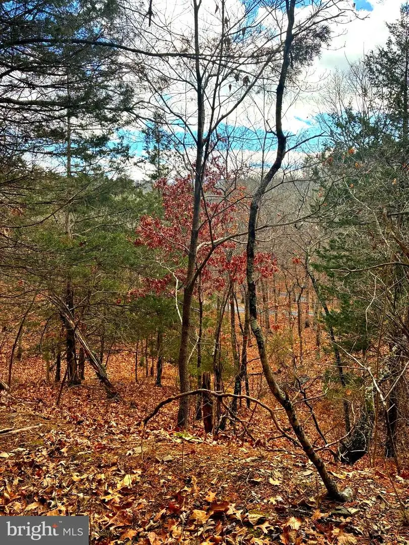 King St, Basye, VA 22810 - #3