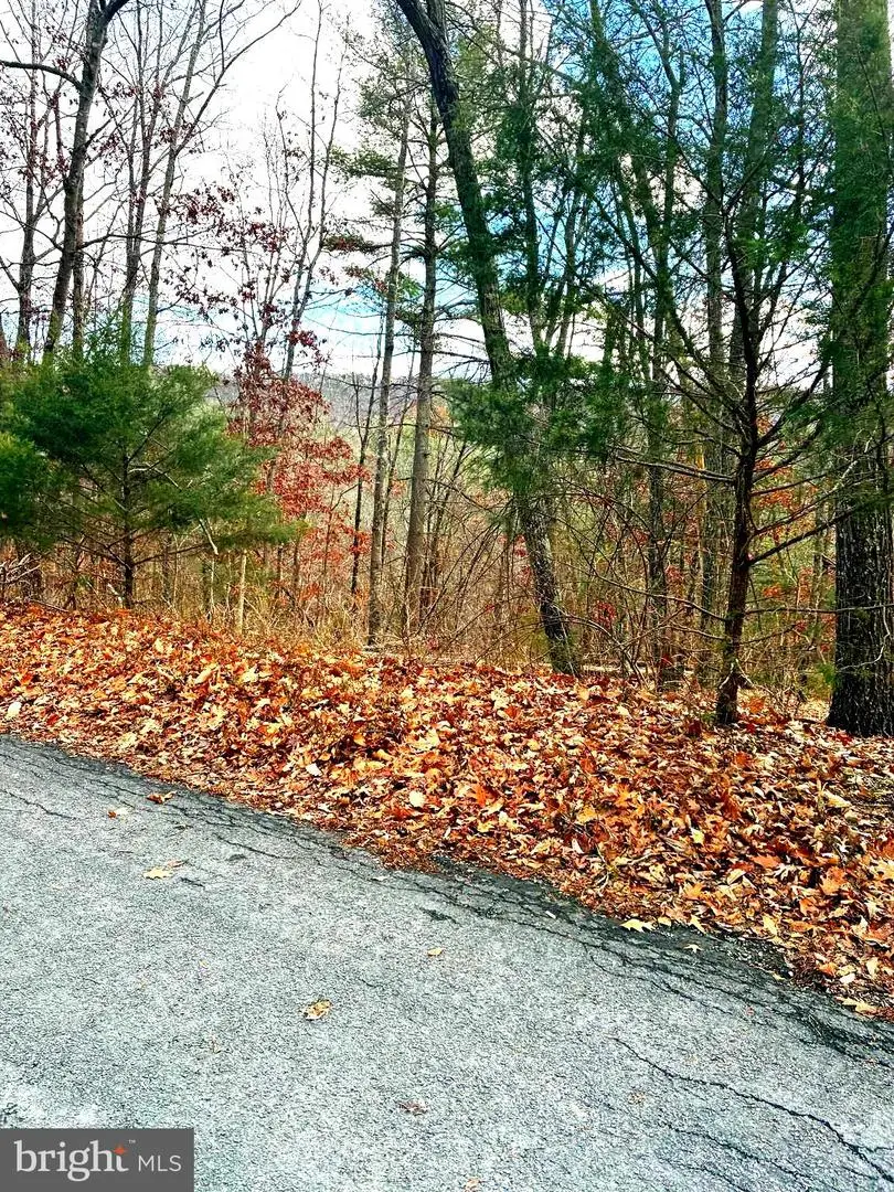 Spitz Ln, Basye, VA 22810 - #2