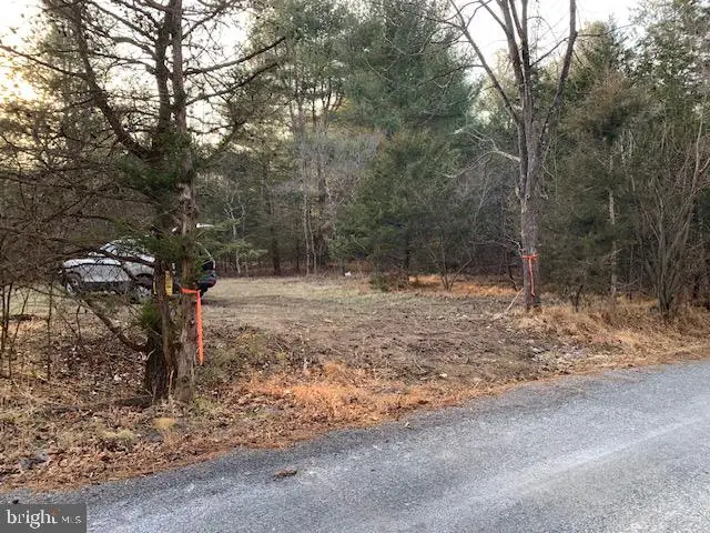 0 Supinlick Ridge Rd, Mount Jackson, VA 22842 - Image #2