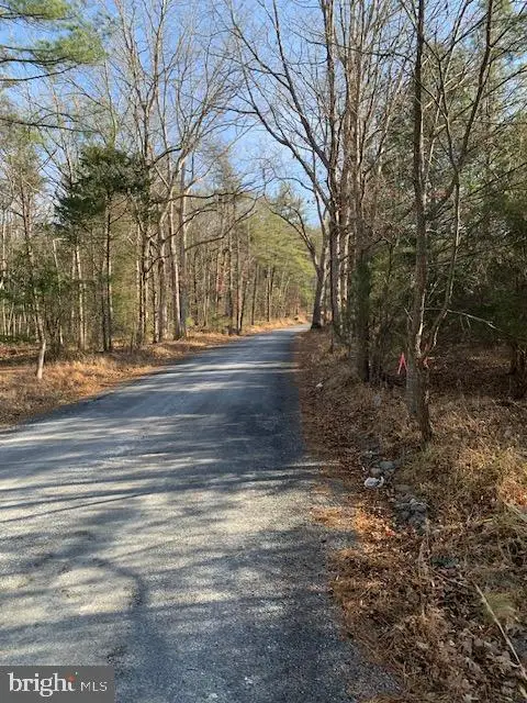 0 Supinlick Ridge Rd, Mount Jackson, VA 22842 - Image #3