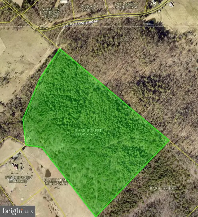 Alum Springs Rd, Edinburg, VA 22824 - Image #2