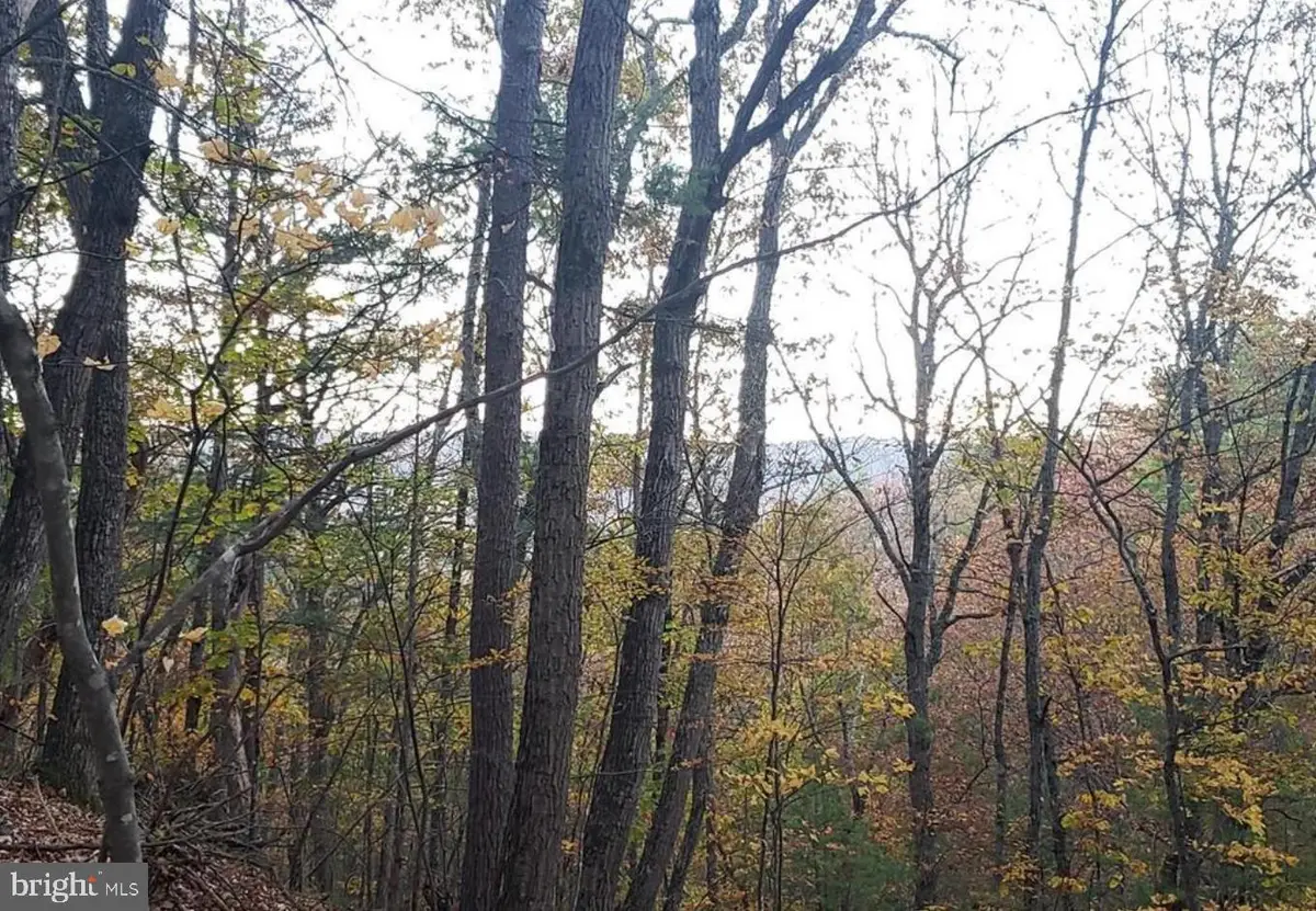 0 Fairway Ave #lot 30, Basye, VA 22810 - Image #1