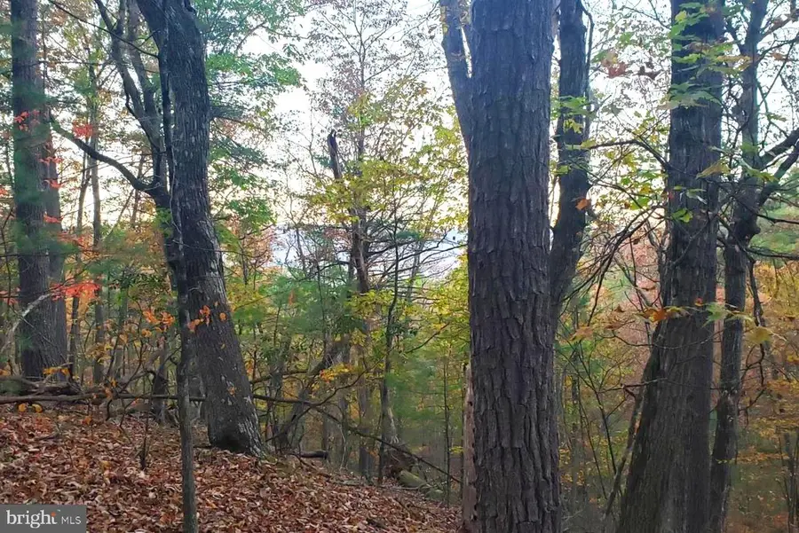 0 Fairway Ave #lot 30, Basye, VA 22810 - Image #3