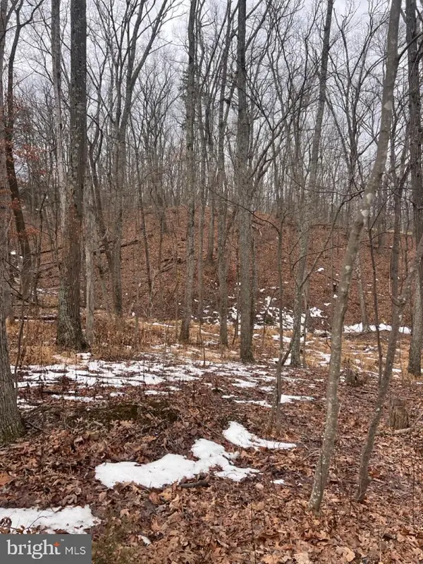 Hummingbird Ln, STAR TANNERY, VA 22654