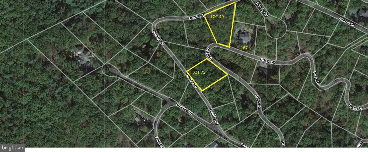 Lot 75 Dooley, Basye, VA 22810 - #1