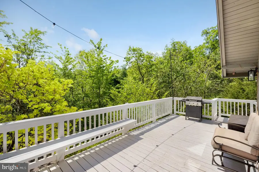 304 Holly Ridge Rd, Mount Jackson, VA 22842 - #3