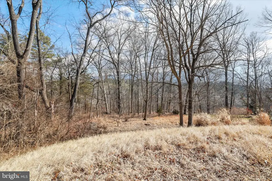 Lot 11 Manor Dr, Edinburg, VA 22824 - #3