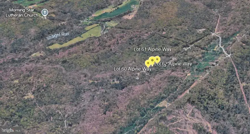 Lots 60 & 61 & 62 Alpine Way, Mount Jackson, VA 22842 - #2