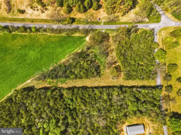 Polk Rd, EDINBURG, VA 22824