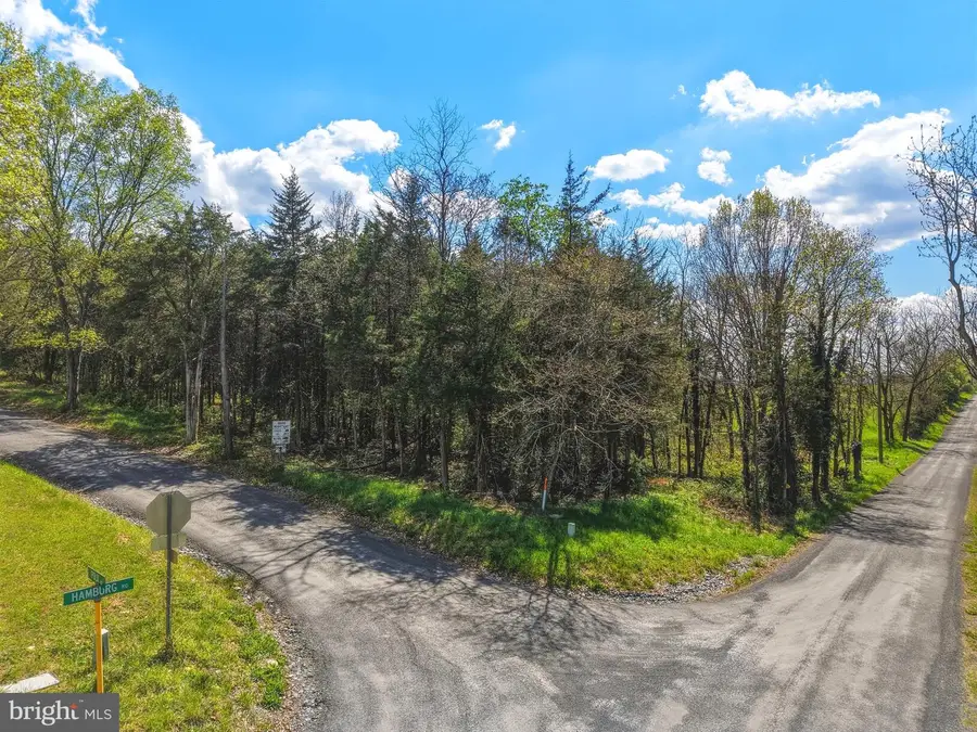 Polk Rd, Edinburg, VA 22824 - #3