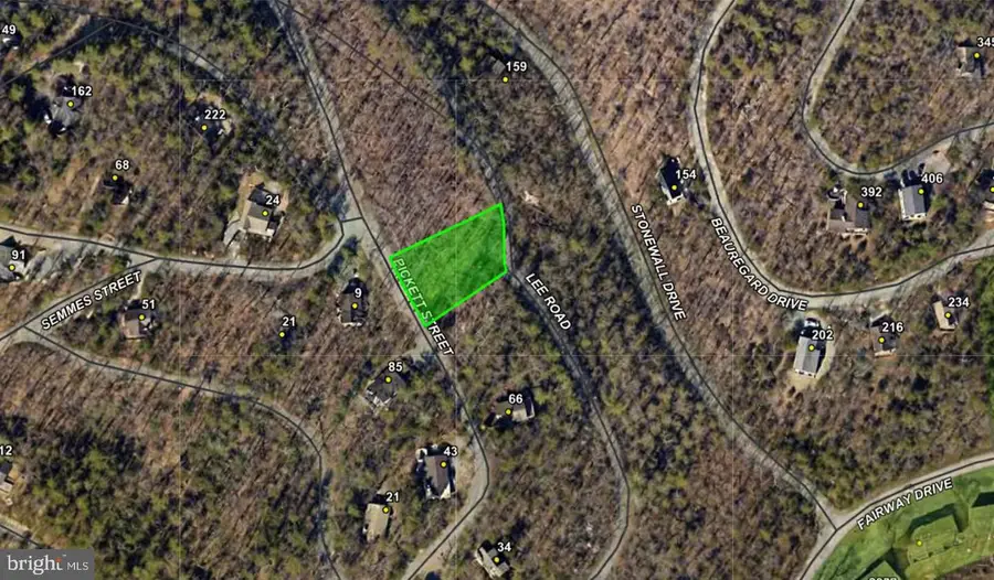 00 Pickett St, Basye, VA 22810 - #3
