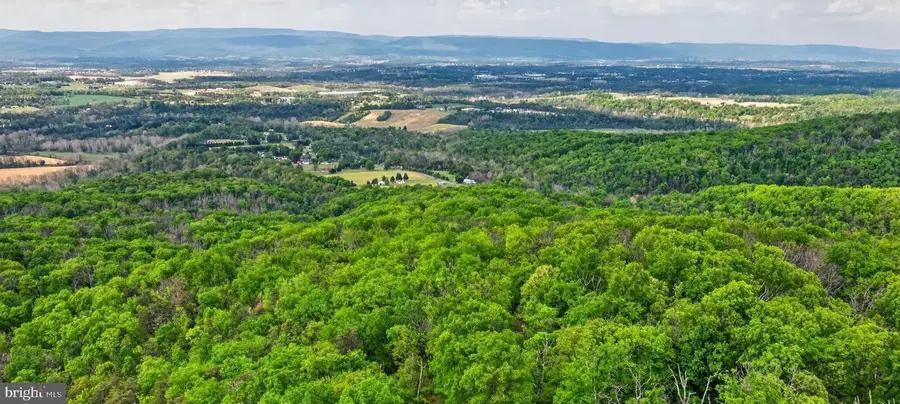 Lot 1 Tomahawk Lane, Edinburg, VA 22824 - #2