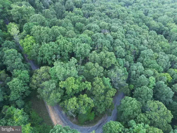 Tbd Rolly Rd, MOUNT JACKSON, VA 22842