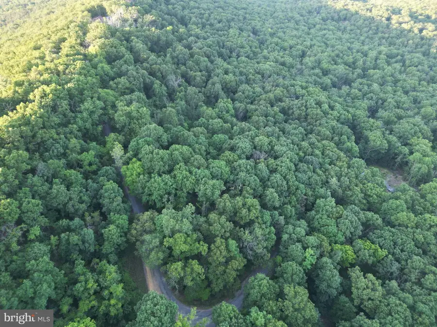 Tbd Rolly Rd, Mount Jackson, VA 22842 - #2
