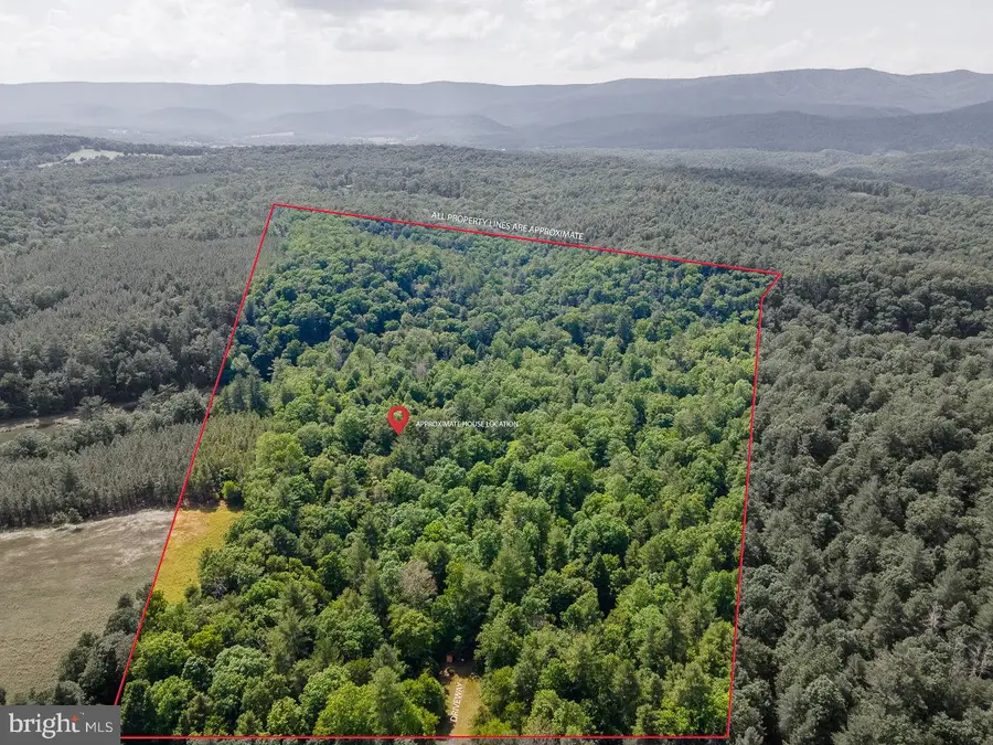 1499 Buggy Ridge Rd, Mount Jackson, VA 22842 - #2