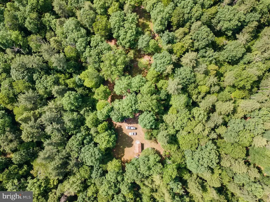 1499 Buggy Ridge Rd, Mount Jackson, VA 22842 - #3