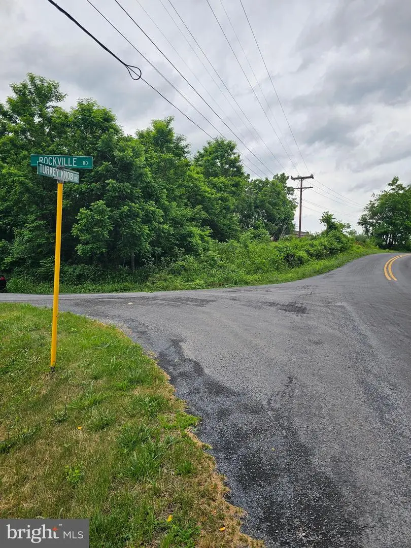 Rt698, Quicksburg, VA 22847 - #2