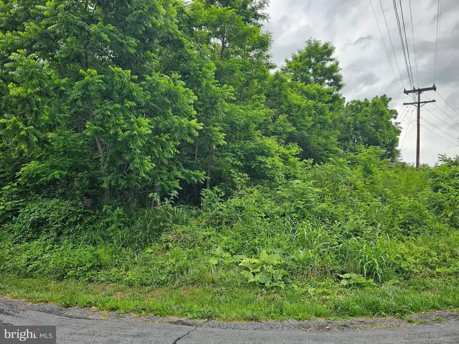 Rt698, Quicksburg, VA 22847 - #3