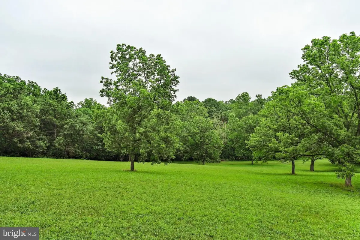 Martz Ln, Edinburg, VA 22824 - #1