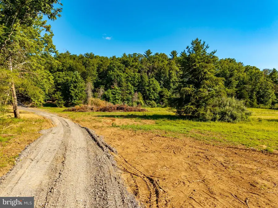 Alum Springs Rd. Parcel A, Edinburg, VA 22824 - #3
