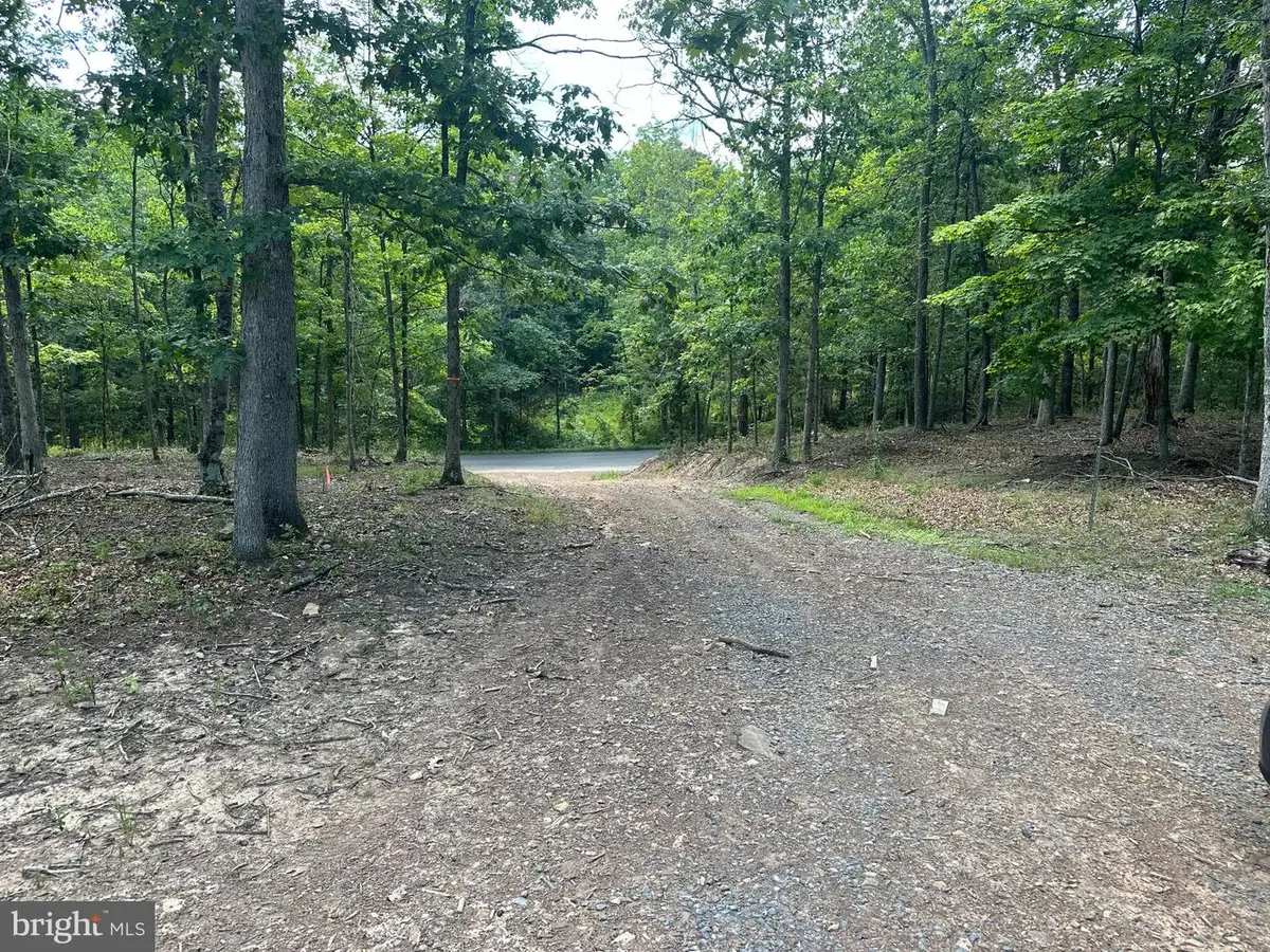 Jerome Rd, Mount Jackson, VA 22842 - #1