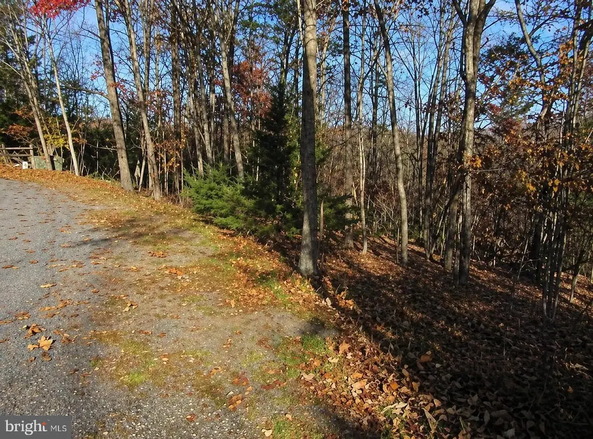 0 Brian Dr, Basye, VA 22810 - #1