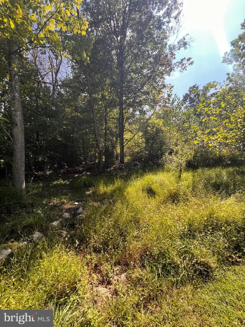 Lot 28 Cedar Ln, Woodstock, VA 22664 - #2